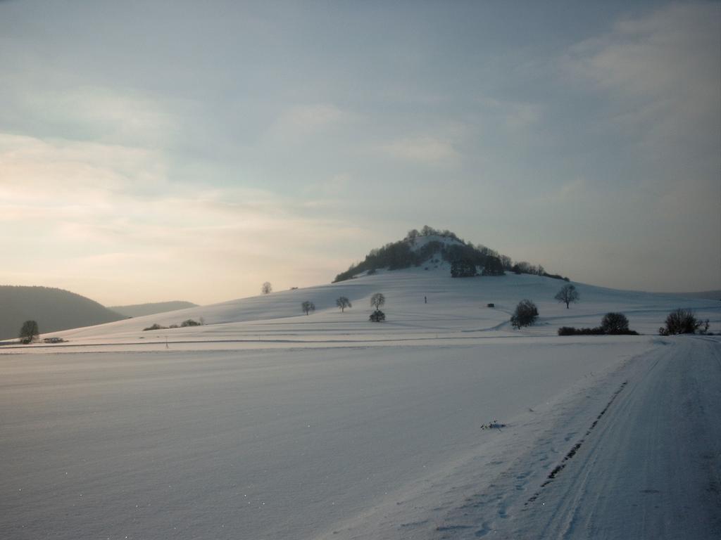 Hotel Hofgut Hohenkarpfen Hausen ob Verena Buitenkant foto