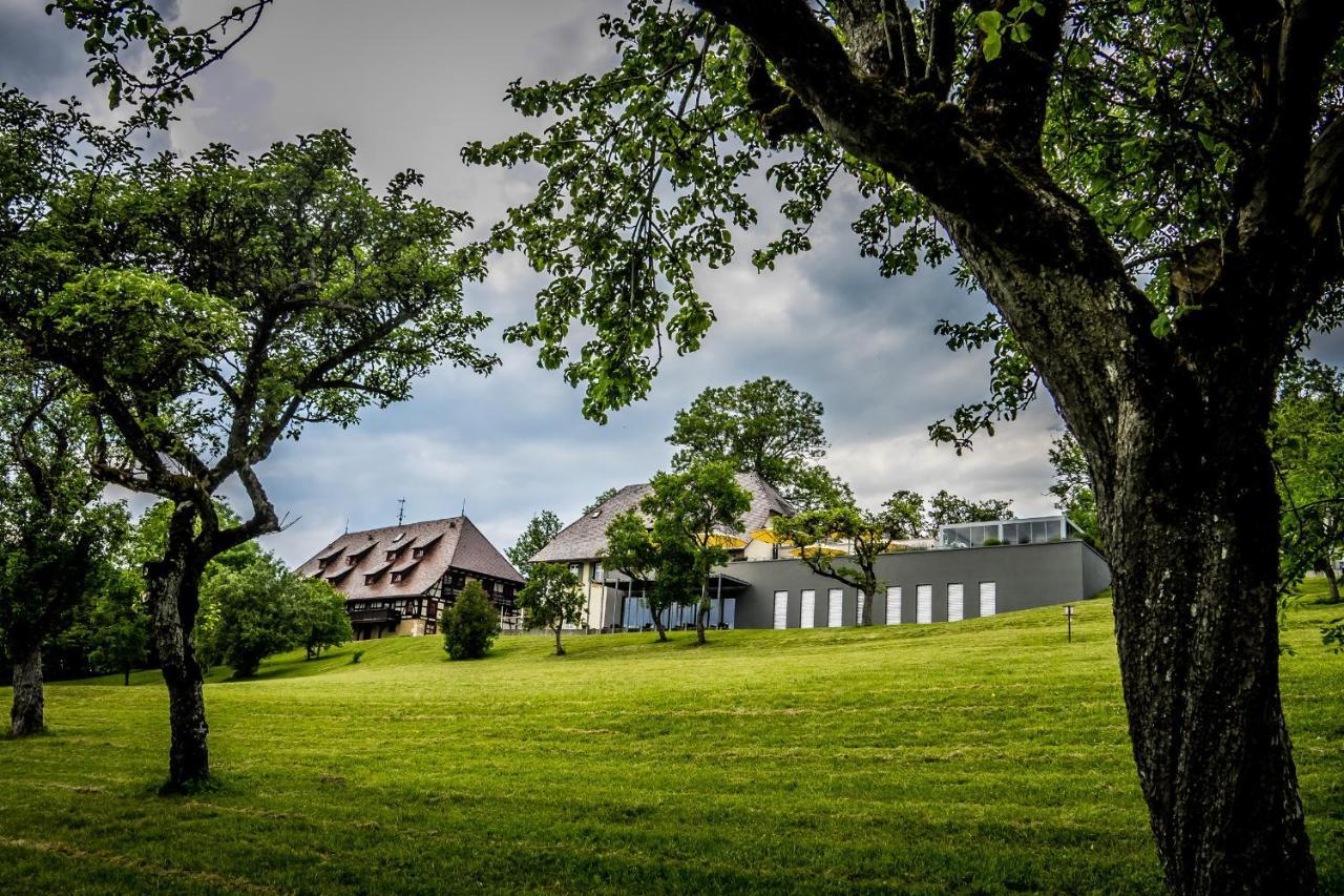 Hotel Hofgut Hohenkarpfen Hausen ob Verena Buitenkant foto