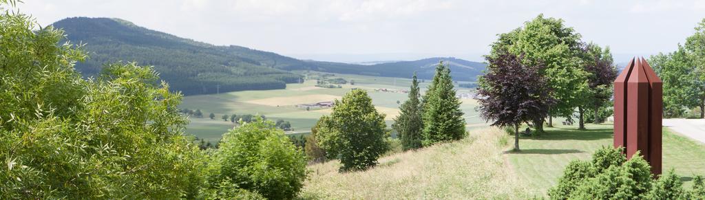 Hotel Hofgut Hohenkarpfen Hausen ob Verena Buitenkant foto